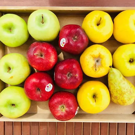 La Casa Di Rinaldo Scerne