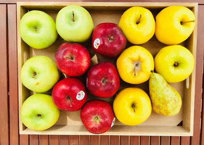 La Casa Di Rinaldo Scerne